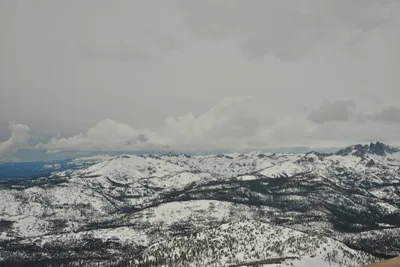 DSC_6694 (Large).JPG